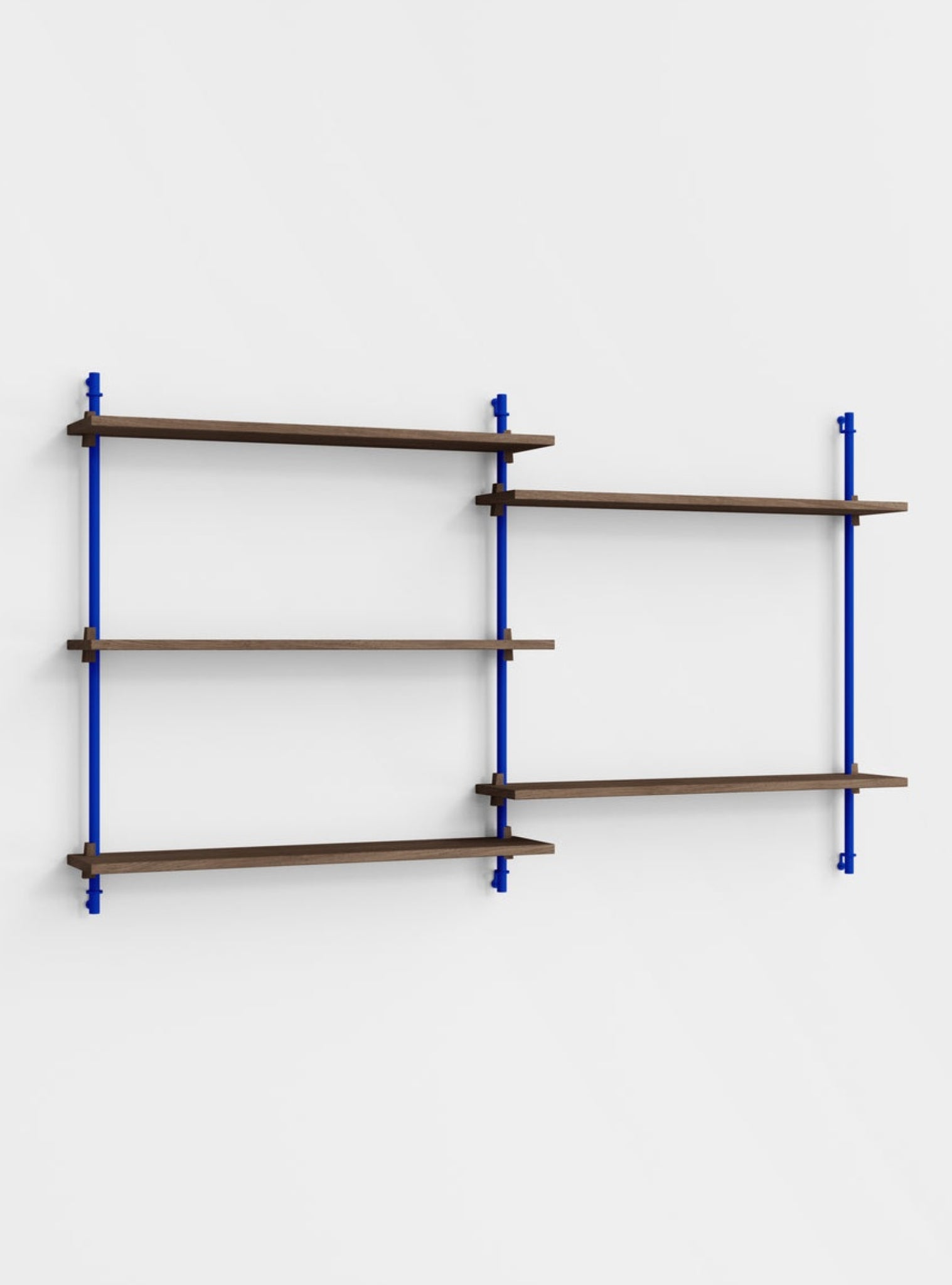 Versatile Moebe Wall Shelving WS.85.2 in Smoked Oak & Deep Blue Design