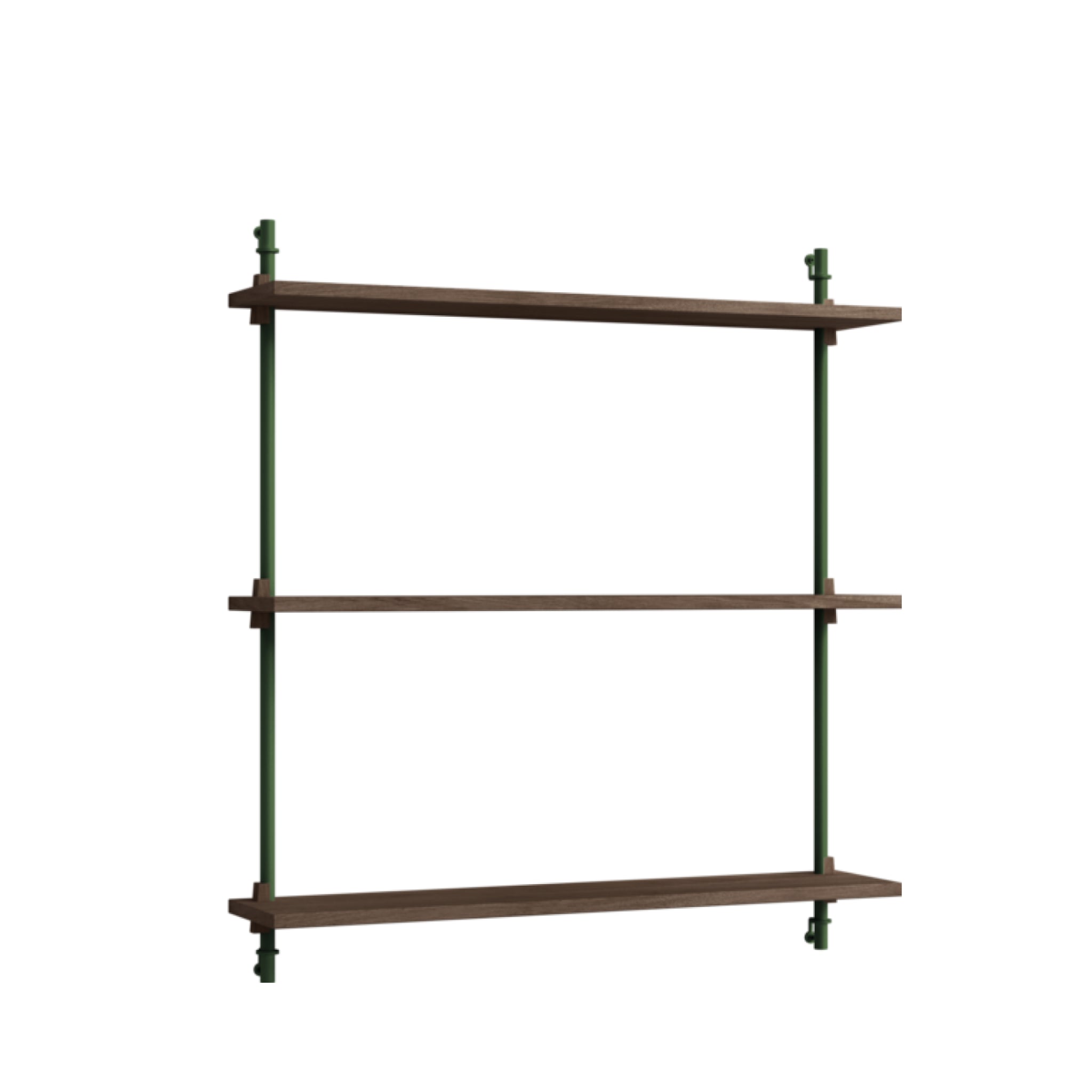 Versatile Moebe Wall Shelving WS.85.1 in Smoked Oak & Pine Green