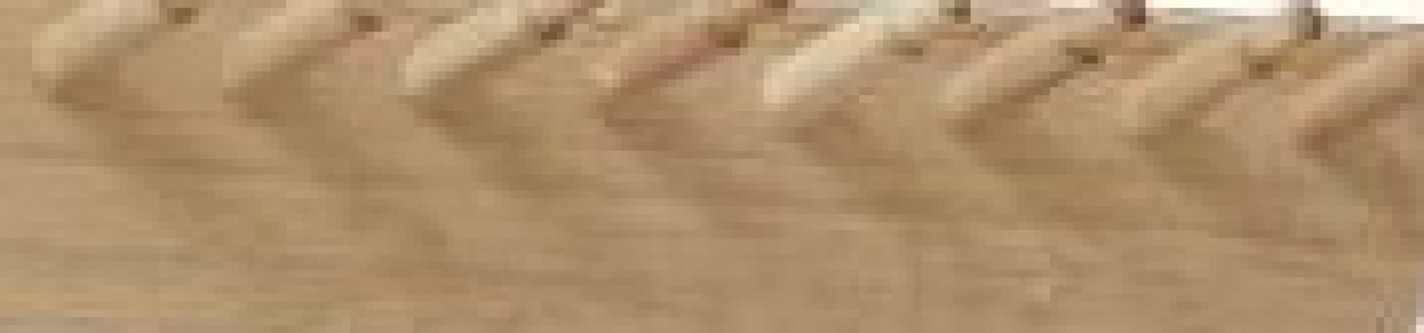 Form & Refine Echo 40cm Coat Rack – White Oiled Oak, Multi-purpose