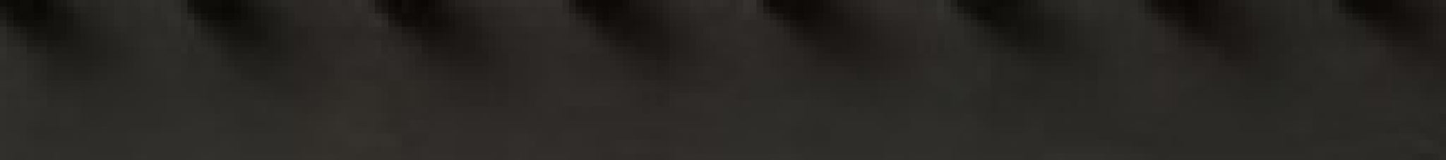 Form & Refine Echo Coat Rack 88 Cm — Black Stained Oak, 18 Hooks