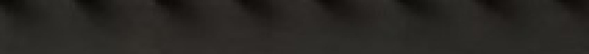 Form & Refine Echo Coat Rack 88 Cm — Black Stained Oak, 18 Hooks