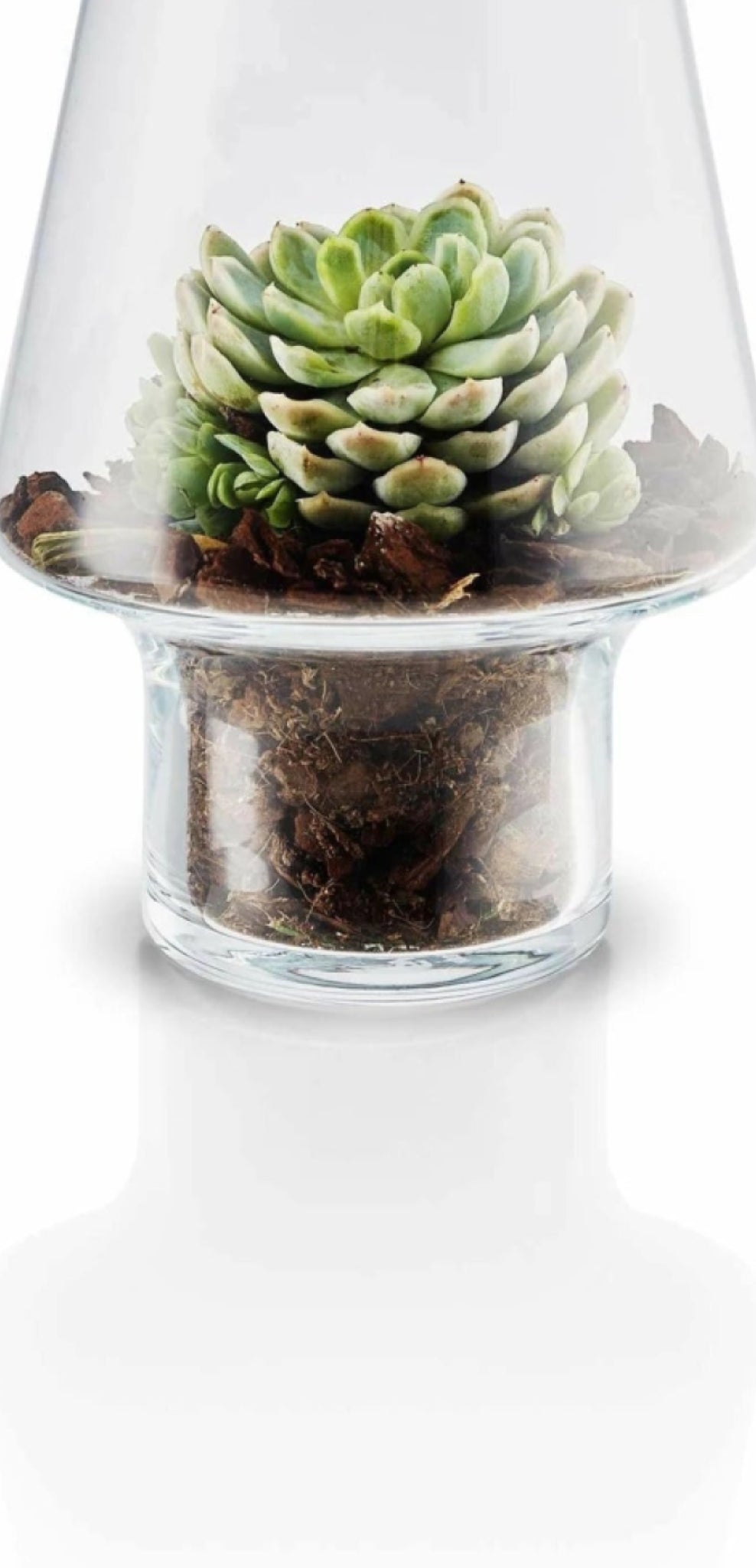 Eva Solo Sukkulenten-Glasvase, Ø15 Cm