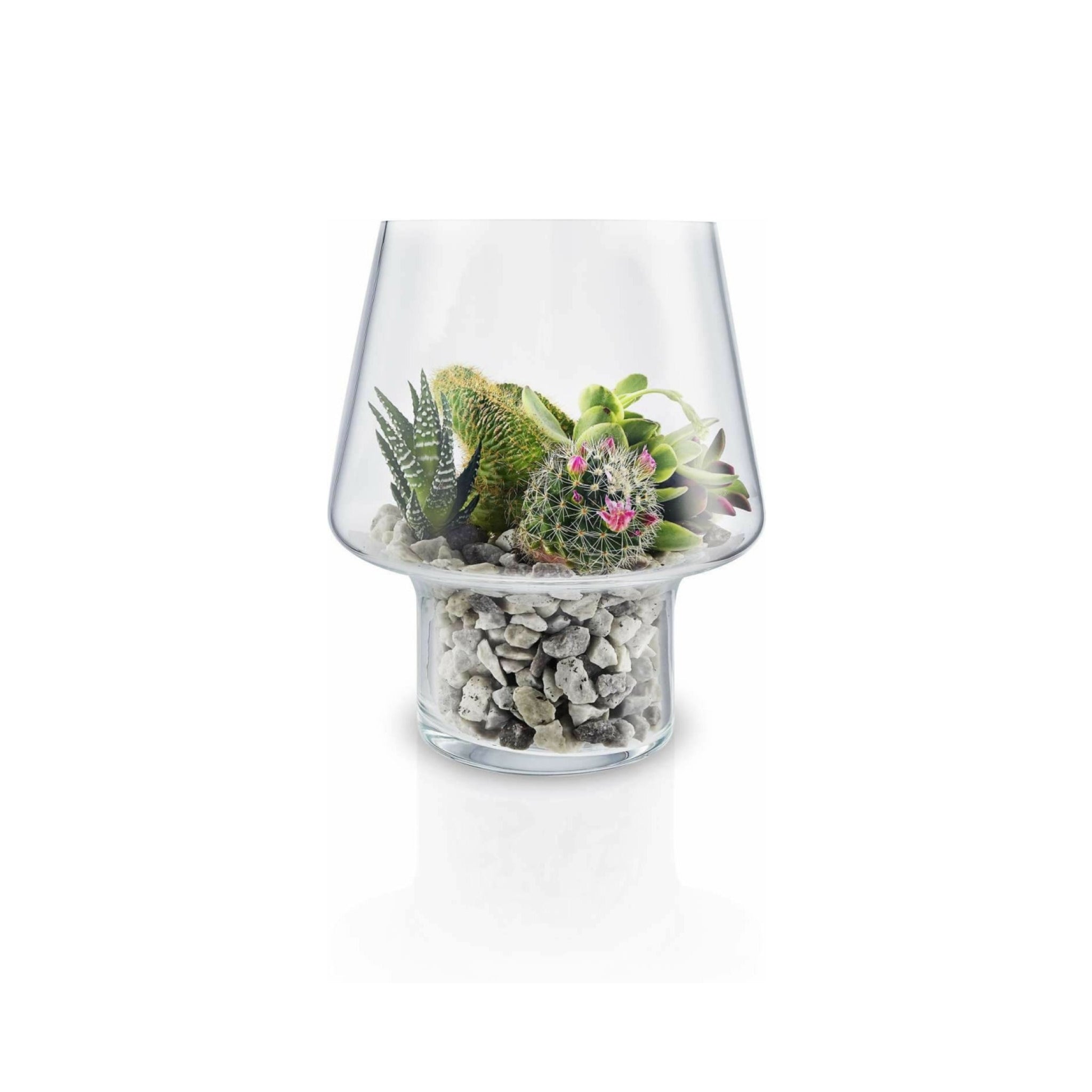 Eva Solo Sukkulenten-Glasvase, Ø15 Cm
