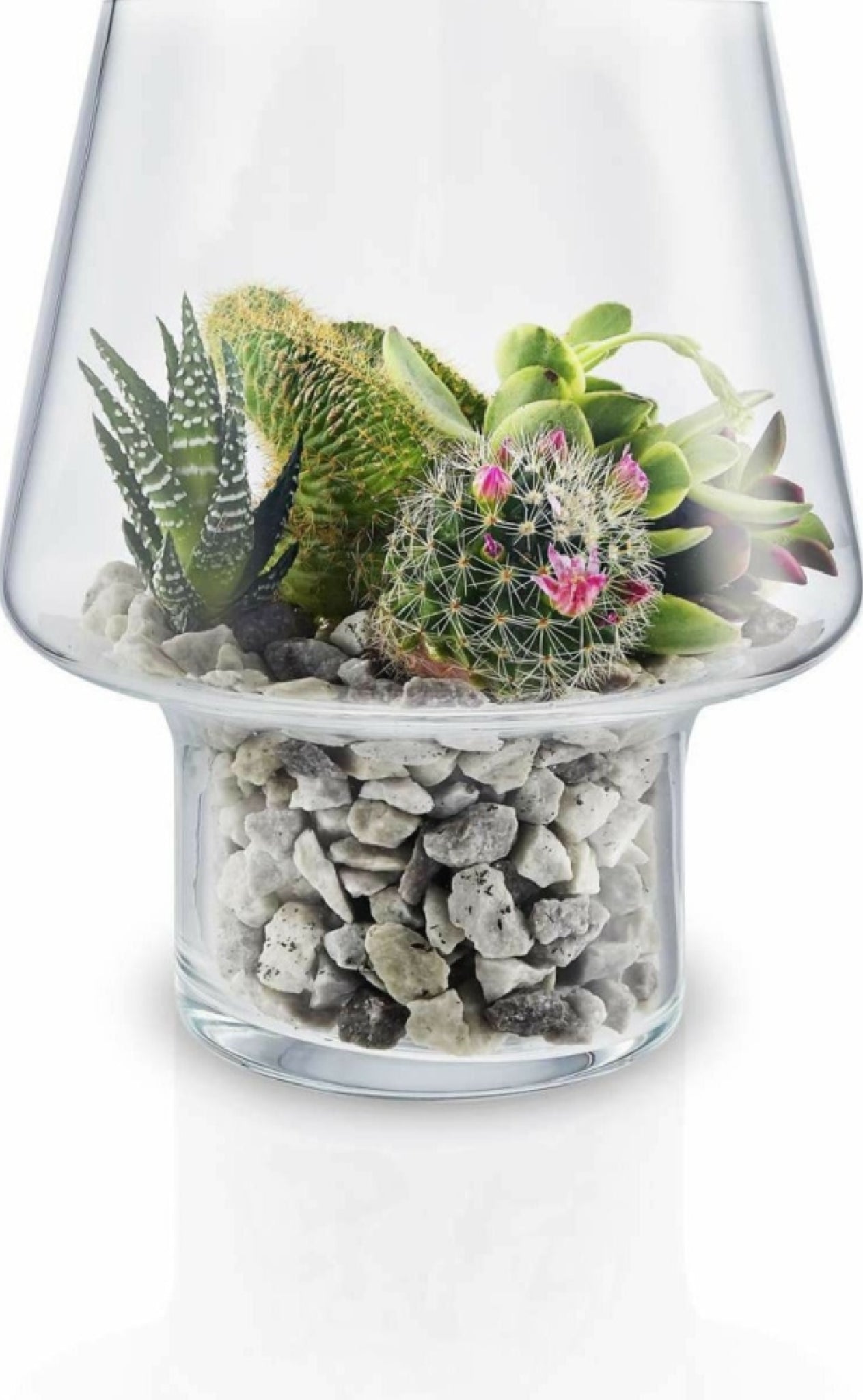 Eva Solo Sukkulenten-Glasvase, Ø15 Cm