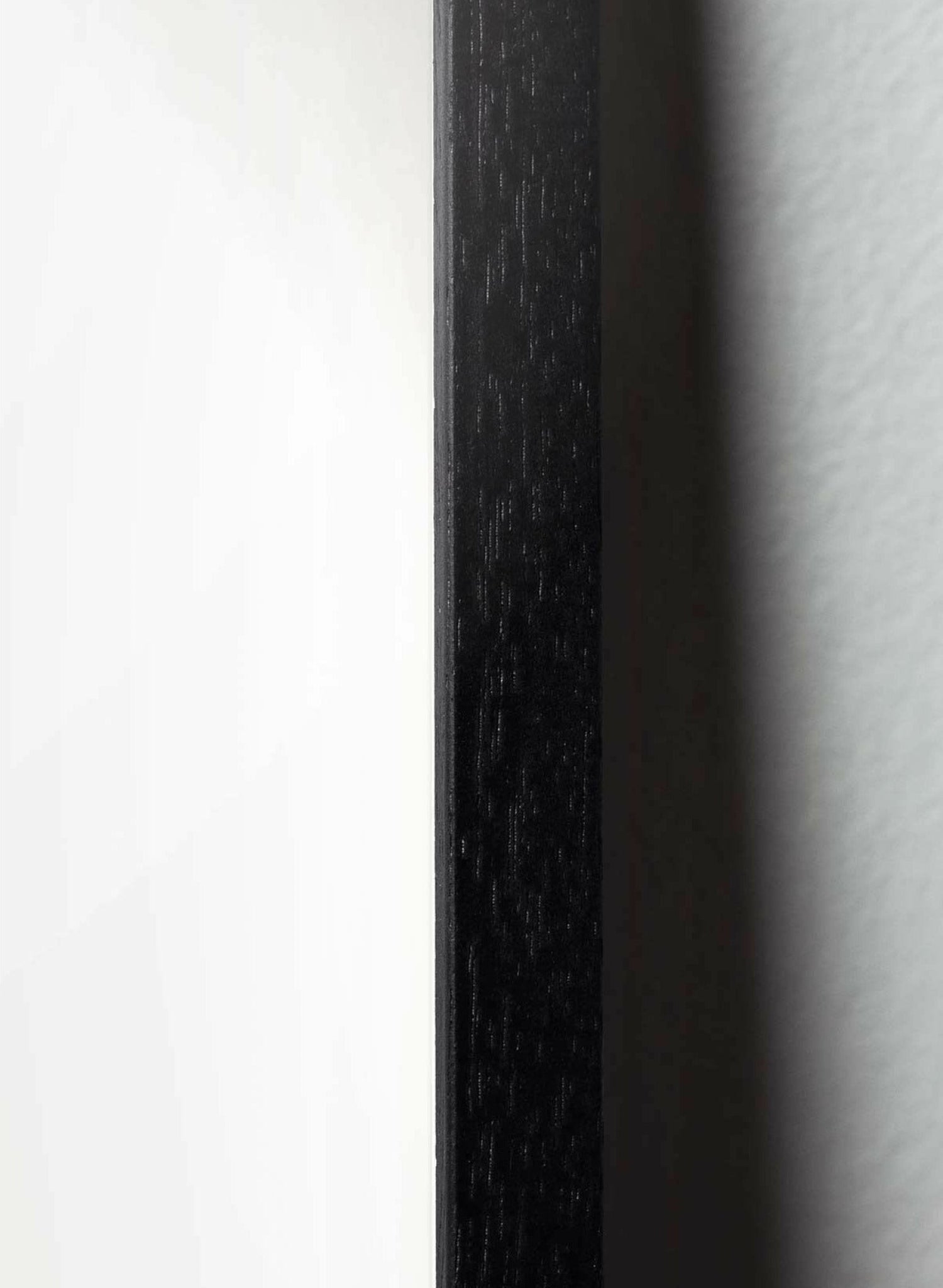 Brainchild Swan Classic poster, frame in black lacquered wood 70x100 cm, white/white background