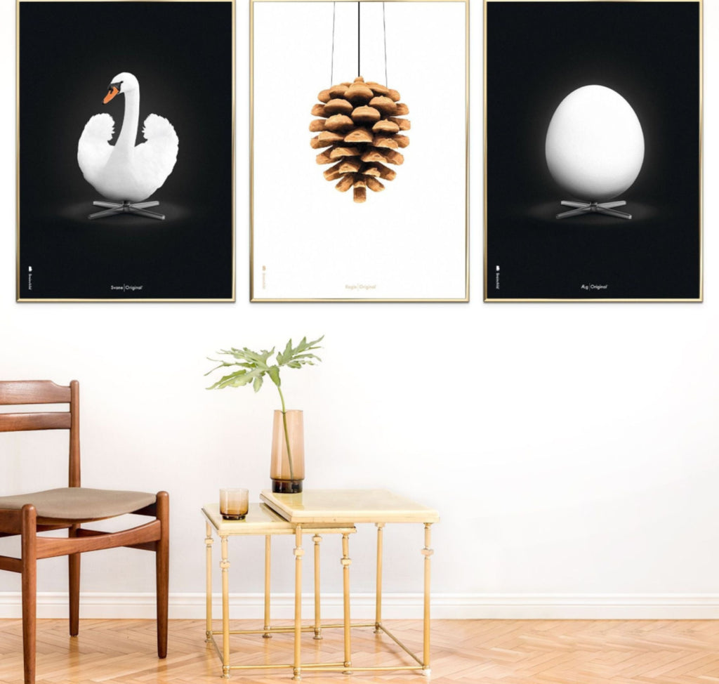 Brainchild Swan Classic poster, frame in black lacquered wood 70x100 cm, white/white background