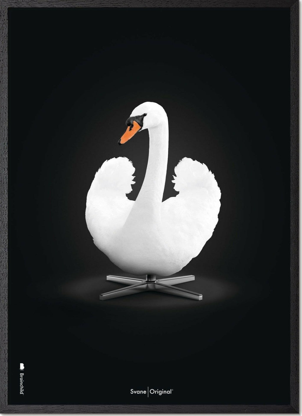 Brainchild Swan Classic poster, frame in black lacquered wood 70x100 cm, white/white background