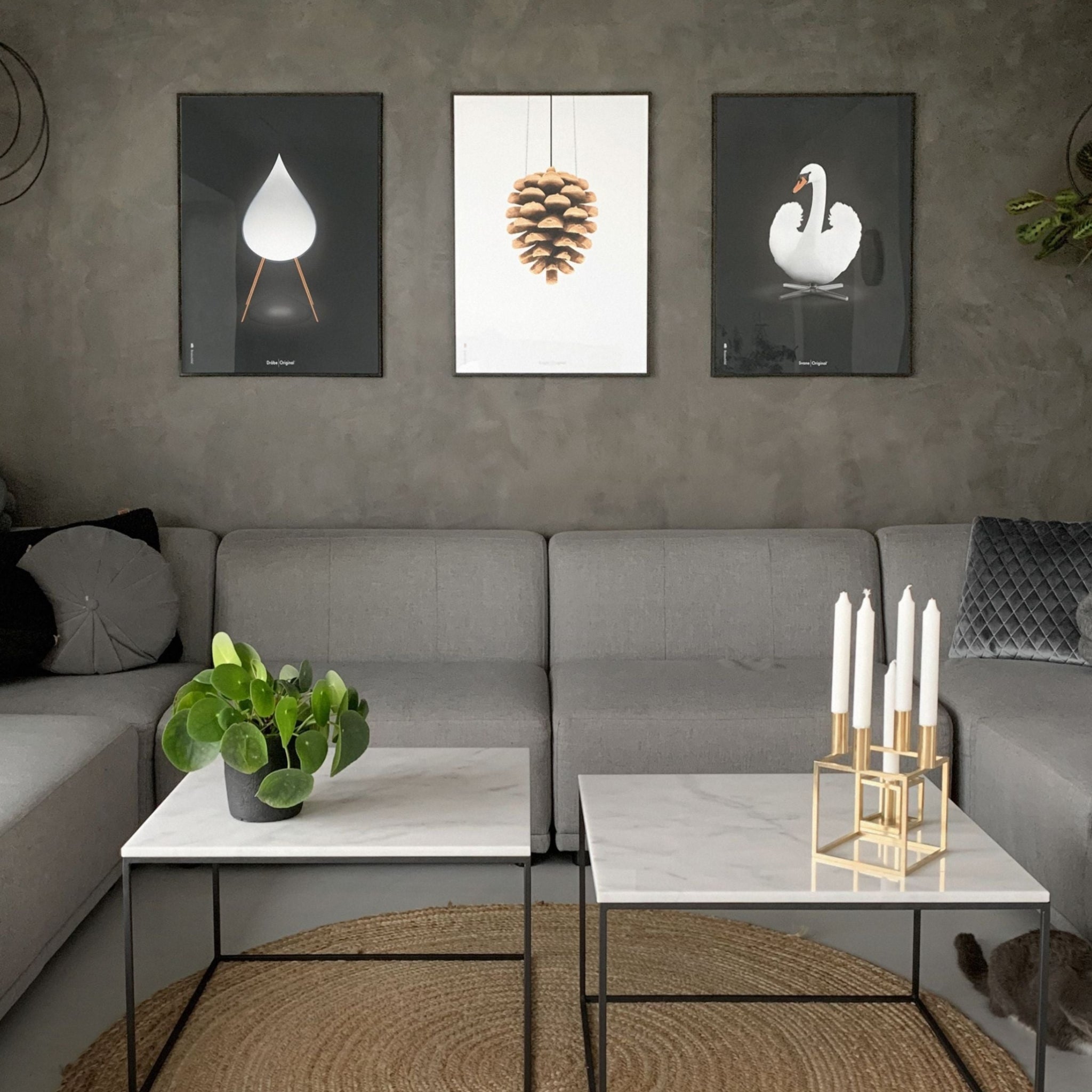 Brainchild Swan Classic poster, frame in black lacquered wood 70x100 cm, white/white background